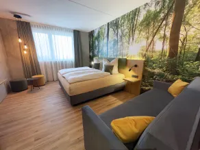 Double room, shower and bath, toilet, wheelchair accessible - Camera