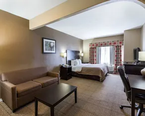 Quality Suites Houston NW Cy-Fair - Chambre
