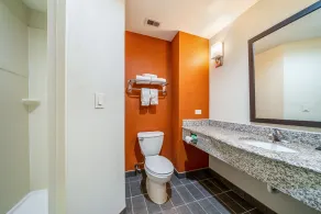 Restwell Inn & Suites I-45 North - Salle de bain