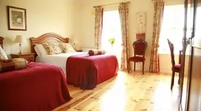 Glendine Country House Wexford - Værelse