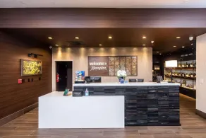Hampton Inn and Suites Dobson - Resepsjon