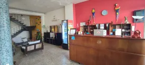 Flying Dog Hostel Iquitos - Reception