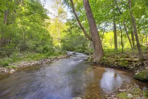 Restored Buchanan Log Cabin on 9-mile Creek! - Interiør