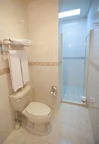 Hotel Magno Tepatitlán - Bathroom