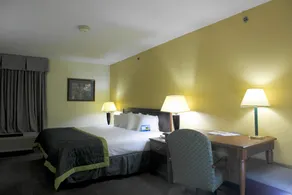 Baymont by Wyndham Mason - Chambre
