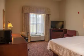 Hampton Inn Murphy - Chambre