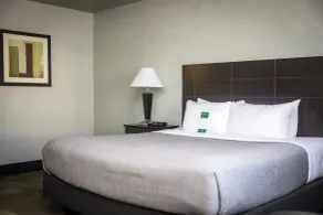 Quality Inn Colorado Springs Airport - Room