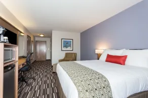 Microtel Inn & Suites by Wyndham Fort Saint John - Chambre