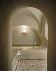 Château Voltaire - Piscine