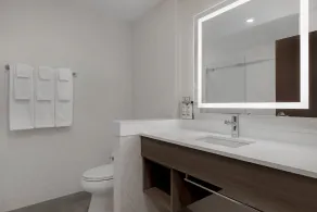 Holiday Inn Express & Suites St Thomas - Badeværelse