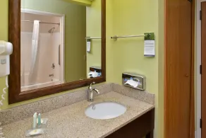 Comfort Inn & Suites Black River Falls I-94 - Bathroom