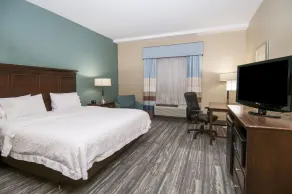 Hampton Inn & Suites Baton Rouge/Port Allen - Chambre