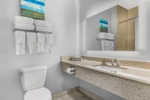 Best Western Plus Fort Worth Forest Hill Inn & Suites - Salle de bain