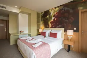 Douro Castelo Signature Hotel & Spa - Chambre