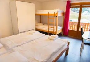 Chalet Montriond - Bike & Ski - Room