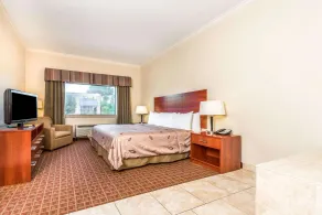 Ramada by Wyndham College Station - Room