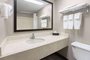 Super 8 by Wyndham Henrietta/Rochester Area - Salle de bain