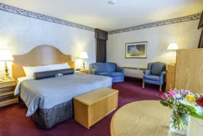 Bow View Lodge - Room
