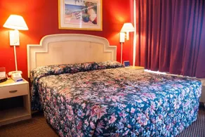 Scottish Inn Downtown Jacksonville - Chambre