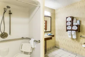 Quality Inn Chester - South Richmond - Bathroom