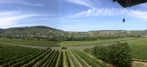 Weingut & Gästehaus Andreas Erz - Miscellaneous