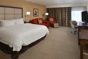 Hampton Inn Carbondale - Room