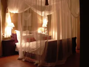 Plumbago Guest House - Room