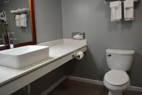 Escape Inn Hershey - Salle de bain