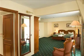 Schlossparkhotel Schkopau - Room