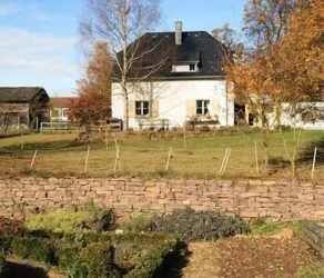 Hotel Hofgut Imsbach Lapointe - Property grounds