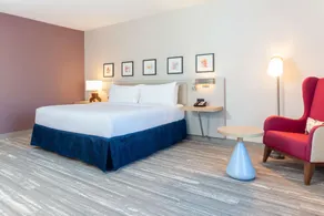 Hilton Garden Inn Broomfield Boulder - Værelse