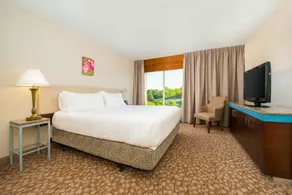 Hilton Garden Inn Charlottesville - Chambre