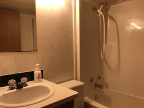 Hakuba Canadian Lodge - Badezimmer
