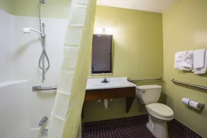 Econo Lodge Inn & Suites Ripley - Salle de bain