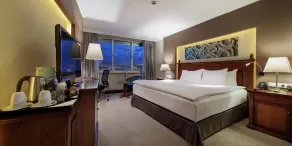Wyndham Grand Kayseri - Chambre