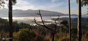 Munnar Jungle Camp - Area soggiorno