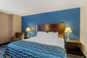 Comfort Inn & Suites Brentwood - Nashville - Chambre