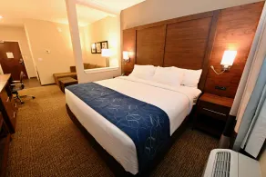 Comfort Suites Newnan - Chambre