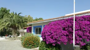 Residence Il Cicero - Resepsjon
