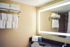 Radisson Hotel Orlando Lake Buena Vista South - Chambre