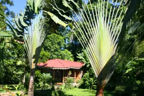 Hotel La Costa de Papito - View from room