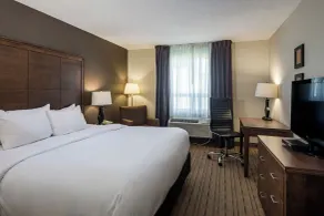 Comfort Inn - Gander - Chambre