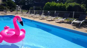 Logis Hotel La Croix du Sud - Pool