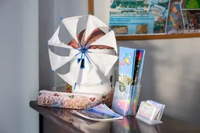 Dilina Studios - Recepción