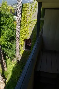Lemon Tree Inn - View from room