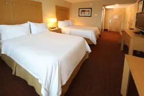 Holiday Inn Express Hotel & Suites CD. Juarez - Las Misiones by IHG - Chambre