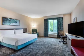 Hilton Garden Inn Islip/MacArthur Airport - Room
