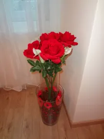 Rooms Boutique Carducci - Udsigt fra værelset