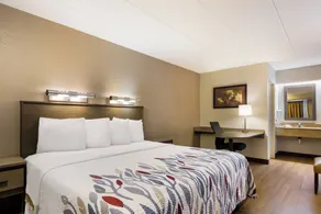 Red Roof Inn Wilkes-Barre Arena - Rom