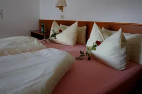 Elektro-Hotel Rosenhaus GmbH - Room